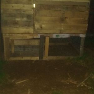 This is Mr. Peep Peep & Freckles's coop made from pallets. My fiancè built it, right now Mr. Peep & Freckles are in a temporary coop but all we need is the fencing (Poultry Wire) then they can officially move into their coop.
