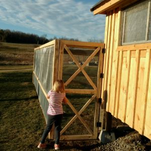 The neat door was made out of leftover bat and hardware wire! The hinges and latch are what cost me! My Granddaughter loved the run!