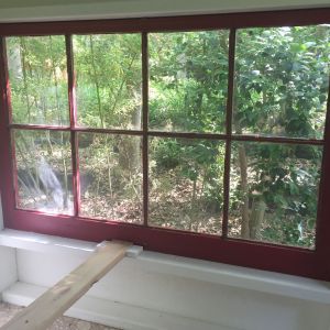 View from inside the coop