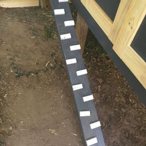 Chicken stairs up to front balcony