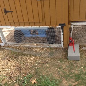 The back of the coop.