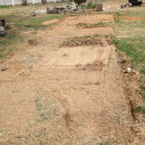 This is what the ground looks like after being parked for 6 months (October - March).  The ground is covered with straw and sand we gave them for bathing.