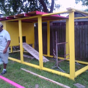 My husband, Juan, and our coop, under construction..