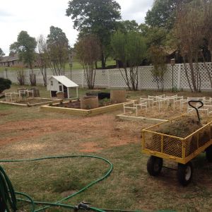 Two raised bed gardens we made (and planted) & 2 old gardens.