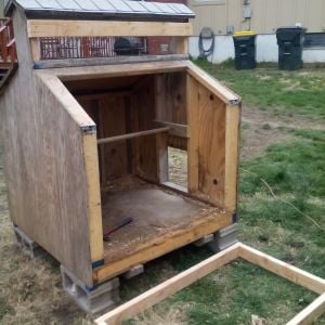 The side opened up to make room for roosting. She's not pretty but she has good bones. And the chickens will love it. The girls (people ones) are already plotting the playhouse they want daddy to build. The honey do list never ends....