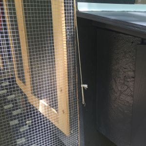 Rope and hook for chicken door