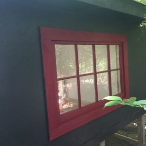 Trimmed window