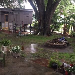 My chicken coop & run!