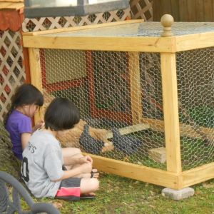 The children enjoying their new pets