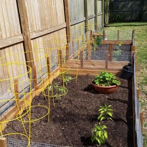 I have started a garden and was suggested that I get it chicken proofed so that the veggies don't get consumed by ladies!