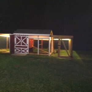 Coop in place with fenced in playground with lots of lighting! I have three cameras installed in various places to watch my peeps!