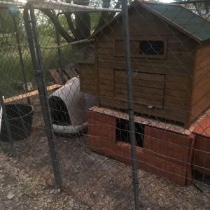 bought a chicken coop but decided to add onto it so I built the bottom section still not done but looking good