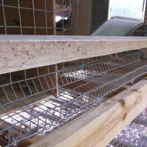 Roll out egg tray and cover