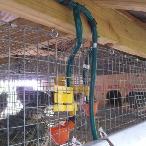 Waterer