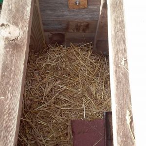 The brooder box is two 2'x2' squares similar to the end panel with some old cedar 1x4 fencing nailed around them. I used additional cedar boards to create a wood floor.