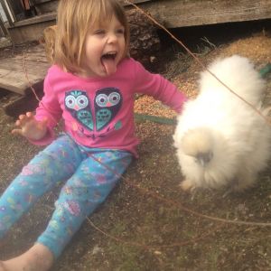 My youngest Abbey and her silkie Pooby