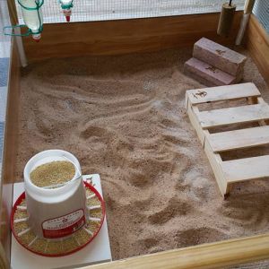 This is the big chick side.  We have 4 black Australorps that will share this space.  We are going to get their roosting bars in there soon.