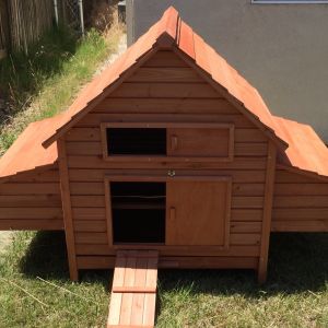 Assembled. Description of product:

The Rambler is a great coop that has 2 divided nesting boxes with a total of 6 nesting areas. The Rambler has a front and rear access doors, and a slide out pan for easy cleaning. It is perfect for 6-10 chickens.

http://chickensaloon.com/the-rambler-backyard-chicken-coop/