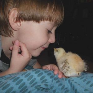 One of my favorite chicken related pics. Our very first ever hatcher and chicken. Peep. 2014