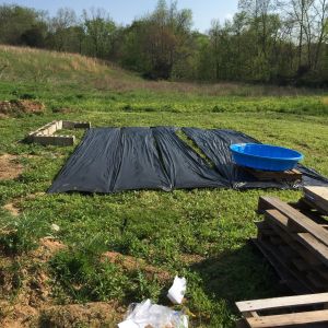The first step to building our coop and run! I laid the cinder blocks out where I wanted the coop, and Matt and I rolled out garden tarp (purchased on sale at ACE), and set up where their ducky pond was to be.