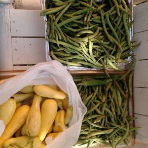 Still picking.