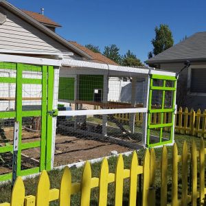 Our coop