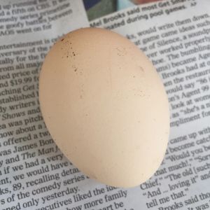 First egg
