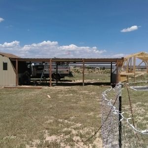 Coming along nicely!