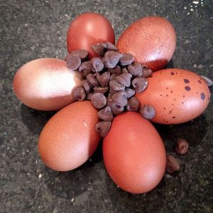 Chocolatey eggs!