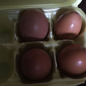 Eggs from a period of 3 days.