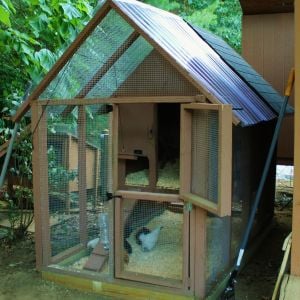 New Small Coop for new Chicks.