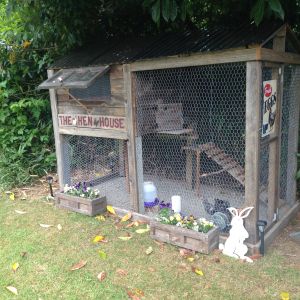 Used old cedar fencing and an old window to make this coop.  The door was new wood so to make it match I used steel wool and vinegar to stain it.