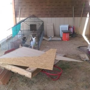 They're supervising the project...hehehe