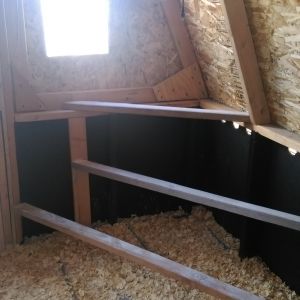 Indoor perch, like a spiral staircase