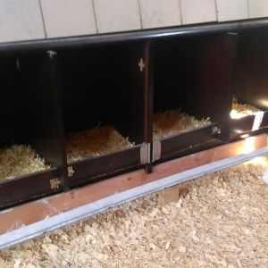 The nesting boxes (a 2nd hand office desk hutch, doors removed and cut down to fit wall height.