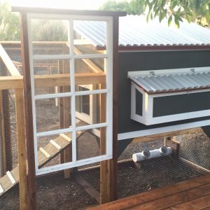 easy access nesting box.