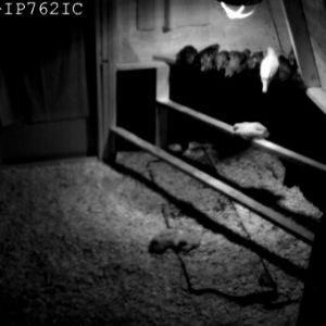 Love the night-vision camera!