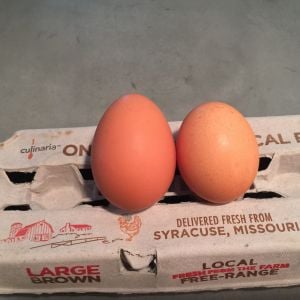 A monster!  On left is our egg, right is store bought large egg