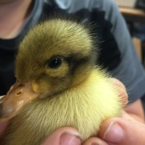 Time for my close-up