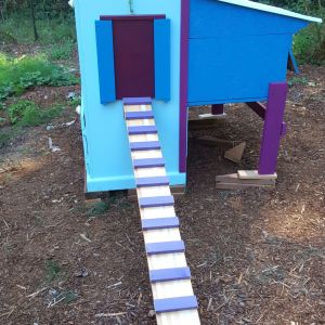 Painted each piece and placed in the free range, fenced area.