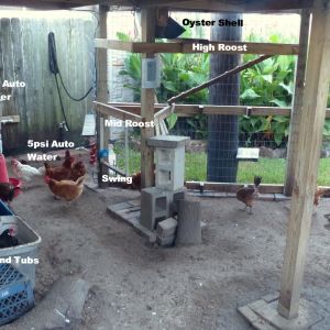 The ultimate backyard chicken coop & run. A/C, Heater, Gable Fan, auto 5psi watering inside and outside, Electric Door, ISY/Insteon control on everything. Operated by phone, pc & scheduling for lighting, door, A/C, Fan(s) based on outside temperature, humidity, etc. Outdoor fan, sensors on water pressure, low feeder, low scratch feeder & High Temp in Coop. All alarms sent by text to phone. Auto Feeder, Auto Scratch Feed 3 times/day. 2 PTZ 1080p ChickenRun & Coop Cams, 23 hens.