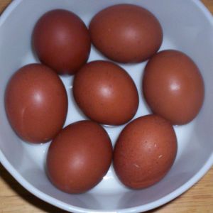 marans eggs 5