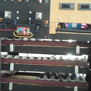 DIY Incubator