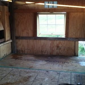 Inside of coop, looks nice so far. Learned a lot from this website. Prior to this I have never built anything this big or complex. Thanks to the internet and BYC for hours and hours of info to read.