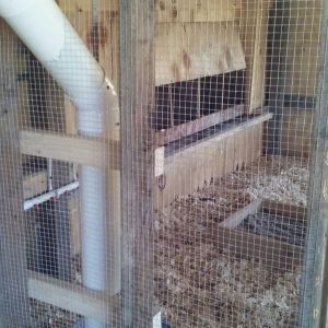 Wall and PVC feeder built. Feed was gravity fed into a pan. Built an empty box covered with hardware cloth to catch wasted feed. Sort or work but in the end I ditched it. Inside of coop I built a removable wooden box for dust bathing. Contained wood ash from my fireplace, sand and DE.