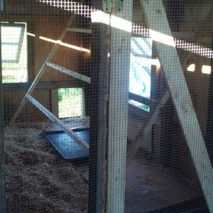 Custom door, 24' of roosting space. Based on the square foot of the coop portion I'm supposed to be able to comfortably hold 24 chicks. We will see...