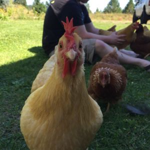 This little girl is trump