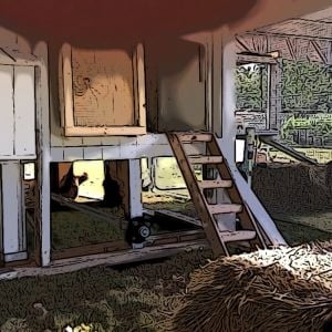 Picture taken of our coop with cartoon app