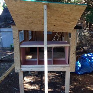 Removable Nesting Boxes and Easy access for Cleaning Coop.