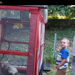 Papaw and Brandon watching the new chickens
